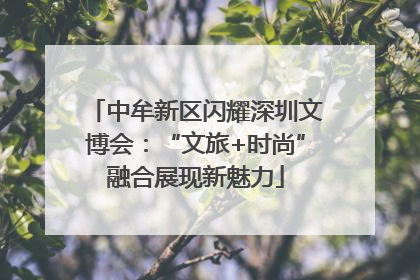 中牟新区闪耀深圳文博会：“文旅+时尚”融合展现新魅力