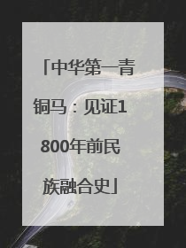 中华第一青铜马：见证1800年前民族融合史