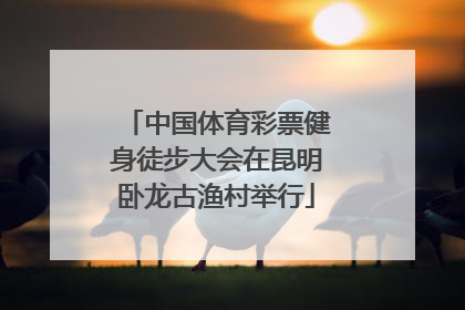 中国体育彩票健身徒步大会在昆明卧龙古渔村举行