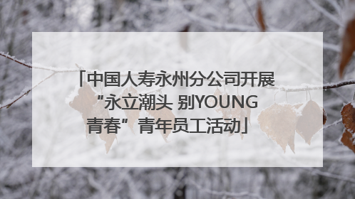 中国人寿永州分公司开展“永立潮头 别YOUNG青春”青年员工活动