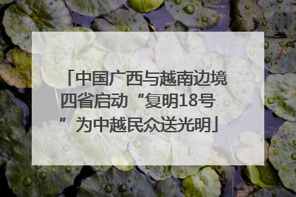 中国广西与越南边境四省启动“复明18号”为中越民众送光明