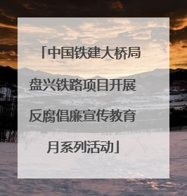 中国铁建大桥局盘兴铁路项目开展反腐倡廉宣传教育月系列活动