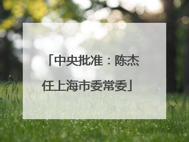 中央批准：陈杰任上海市委常委