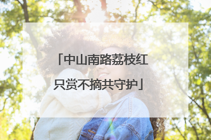 中山南路荔枝红 只赏不摘共守护