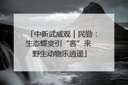 中新武威观｜民勤：生态蝶变引“客”来 野生动物乐逍遥