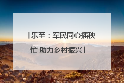 乐至：军民同心插秧忙 助力乡村振兴
