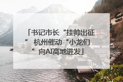 书记市长“挂帅出征” 杭州催动“小龙们”向AI高地进发