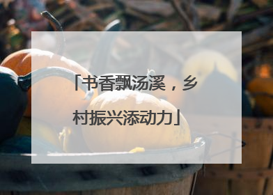 书香飘汤溪，乡村振兴添动力