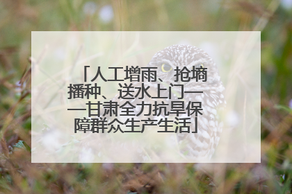 人工增雨、抢墒播种、送水上门——甘肃全力抗旱保障群众生产生活