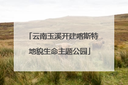 云南玉溪开建喀斯特地貌生命主题公园