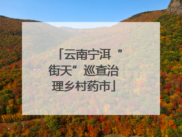 云南宁洱“街天”巡查治理乡村药市
