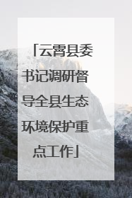 云霄县委书记调研督导全县生态环境保护重点工作