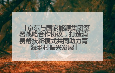 京东与国家能源集团签署战略合作协议，打造消费帮扶新模式共同助力青海乡村振兴发展