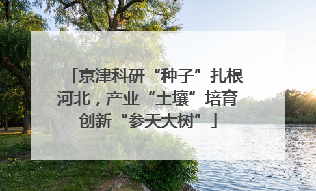 京津科研“种子”扎根河北，产业“土壤”培育创新“参天大树”