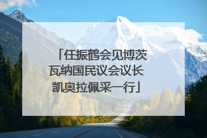 任振鹤会见博茨瓦纳国民议会议长凯奥拉佩采一行