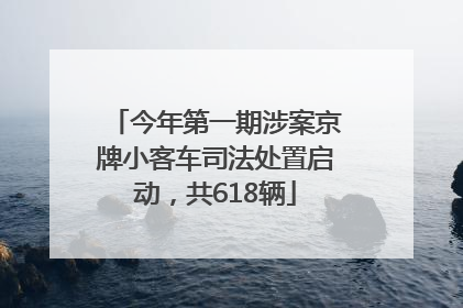 今年第一期涉案京牌小客车司法处置启动，共618辆