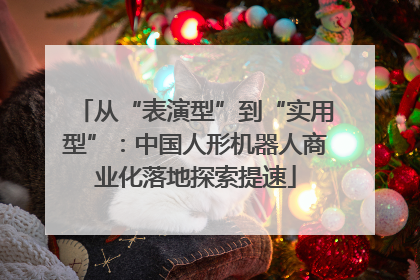 从“表演型”到“实用型”：中国人形机器人商业化落地探索提速