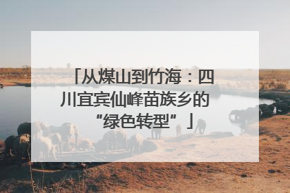 从煤山到竹海：四川宜宾仙峰苗族乡的“绿色转型”
