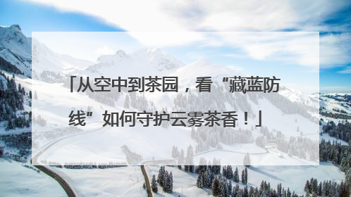 从空中到茶园，看“藏蓝防线”如何守护云雾茶香！
