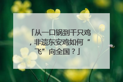 从一口锅到千只鸡，非遗东安鸡如何“飞”向全国？
