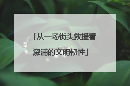 从一场街头救援看溆浦的文明韧性