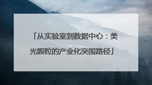 从实验室到数据中心：美光颗粒的产业化突围路径