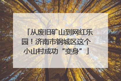 从废旧矿山到网红乐园！济南市钢城区这个小山村成功“变身”