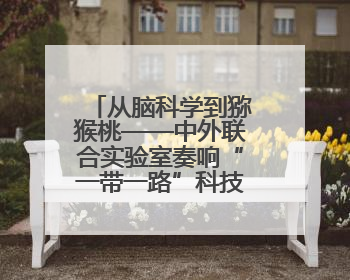 从脑科学到猕猴桃——中外联合实验室奏响“一带一路”科技合作交响曲