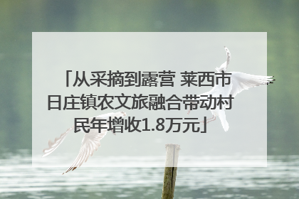 从采摘到露营 莱西市日庄镇农文旅融合带动村民年增收1.8万元