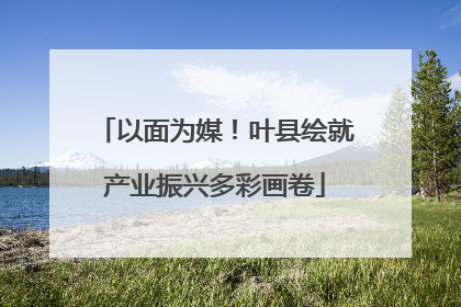 以面为媒！叶县绘就产业振兴多彩画卷