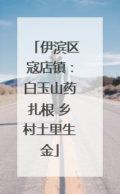伊滨区寇店镇：白玉山药扎根 乡村土里生金