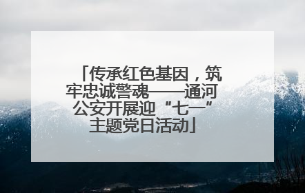 传承红色基因，筑牢忠诚警魂——通河公安开展迎“七一”主题党日活动
