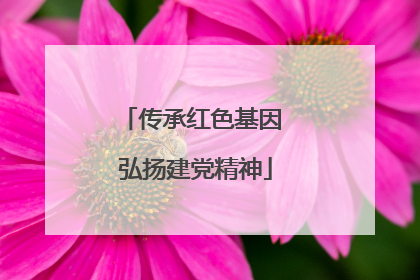 传承红色基因 弘扬建党精神
