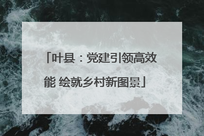 叶县：党建引领高效能 绘就乡村新图景