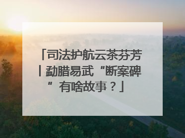 司法护航云茶芬芳丨勐腊易武“断案碑”有啥故事？