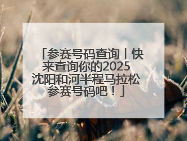 参赛号码查询丨快来查询你的2025沈阳和河半程马拉松参赛号码吧！