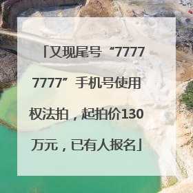又现尾号“77777777”手机号使用权法拍，起拍价130万元，已有人报名