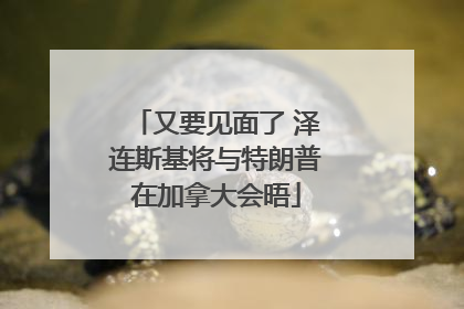 又要见面了 泽连斯基将与特朗普在加拿大会晤