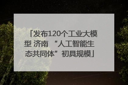 发布120个工业大模型 济南 “人工智能生态共同体”初具规模