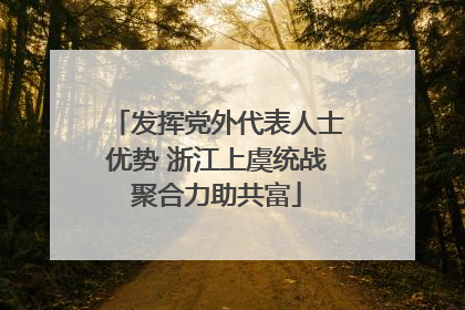 发挥党外代表人士优势 浙江上虞统战聚合力助共富