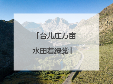 台儿庄万亩水田着绿裳
