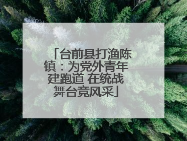 台前县打渔陈镇：为党外青年建跑道 在统战舞台竞风采