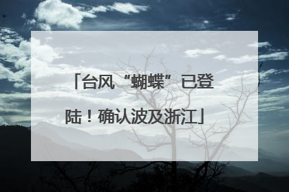 台风“蝴蝶”已登陆！确认波及浙江