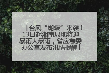 台风“蝴蝶”来袭！13日起湘南局地将迎暴雨大暴雨，省应急委办公室发布汛情提醒