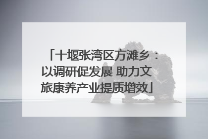 十堰张湾区方滩乡：以调研促发展 助力文旅康养产业提质增效