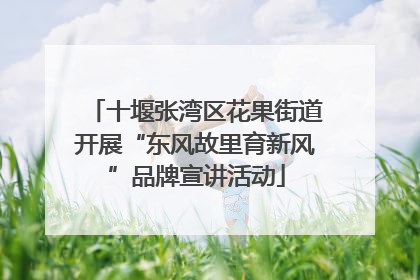 十堰张湾区花果街道开展“东风故里育新风”品牌宣讲活动