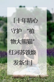 十年精心守护 “植物大熊猫”红河苏铁焕发新生