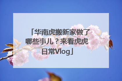 华南虎搬新家做了哪些事儿？来看虎虎日常Vlog