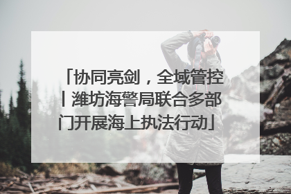 协同亮剑，全域管控丨潍坊海警局联合多部门开展海上执法行动