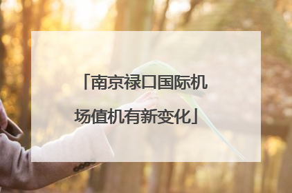 南京禄口国际机场值机有新变化